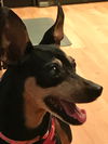 Lola