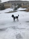 Kevin