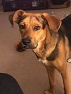 Barkley