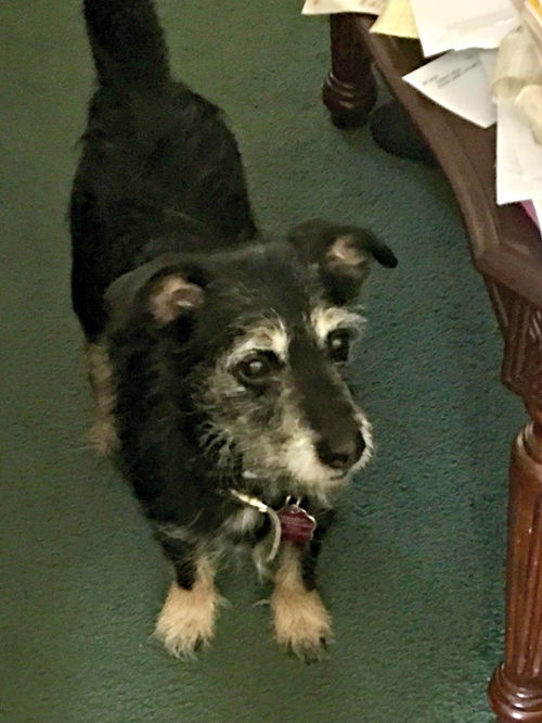 Flynn