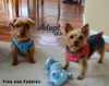 Pino and Pebbles