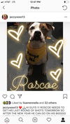 ROSCOE
