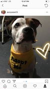 ROSCOE