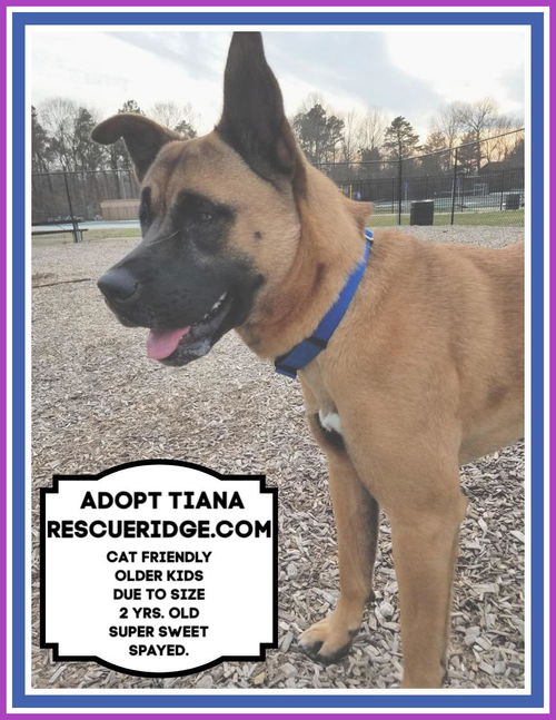 TIANA