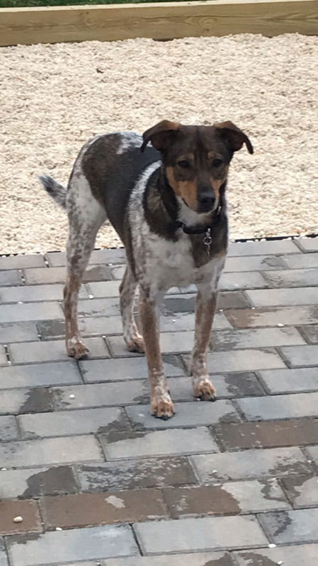 RUFUS