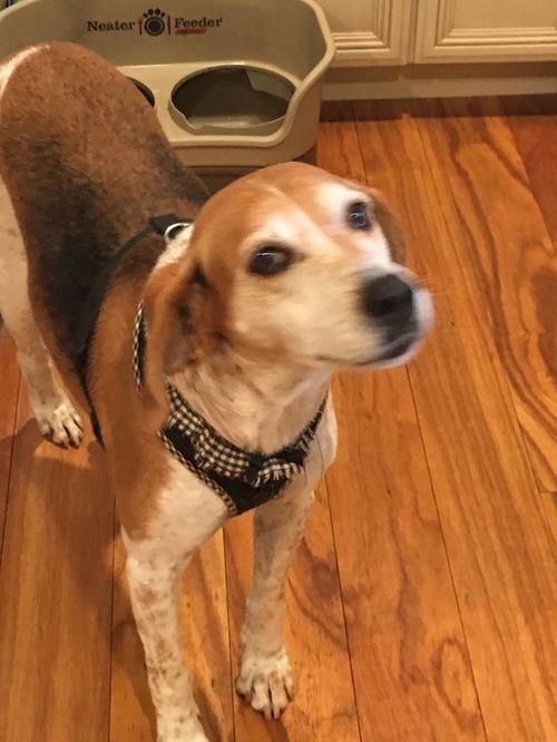 Ellie Mae