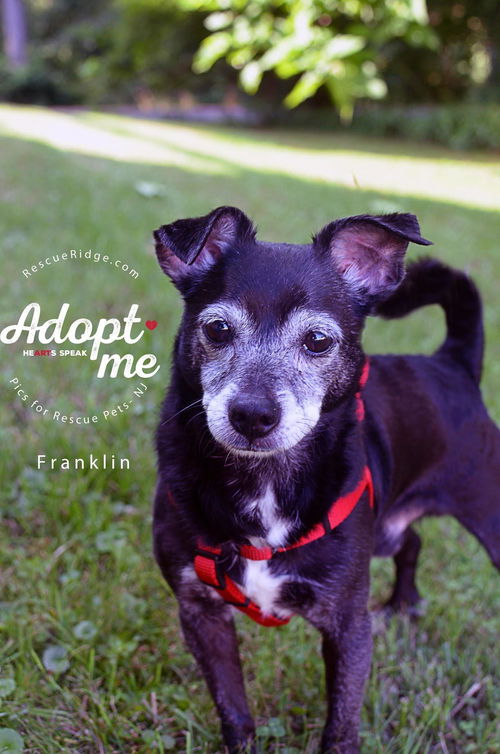 Franklin