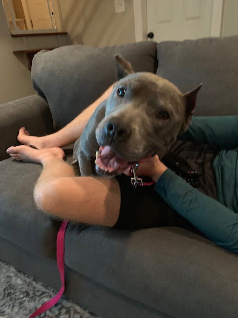 Maya