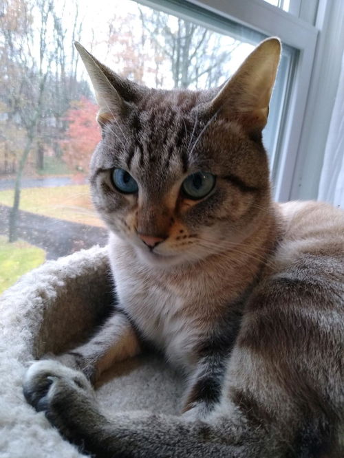 Binx