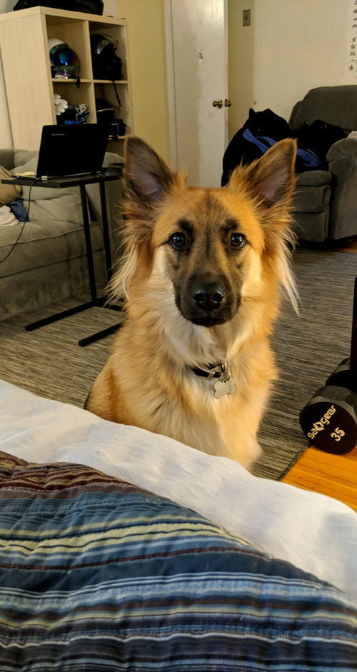Rico