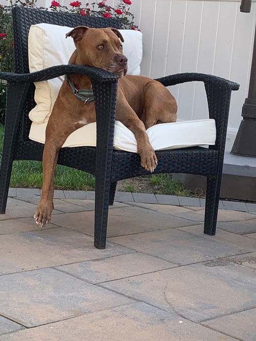 ROSCOE