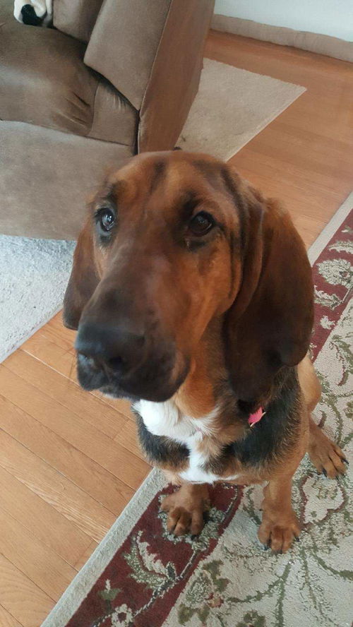 ELLIE MAE