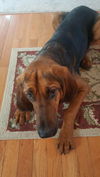 ELLIE MAE