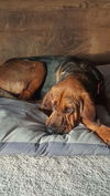 ELLIE MAE