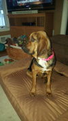 ELLIE MAE