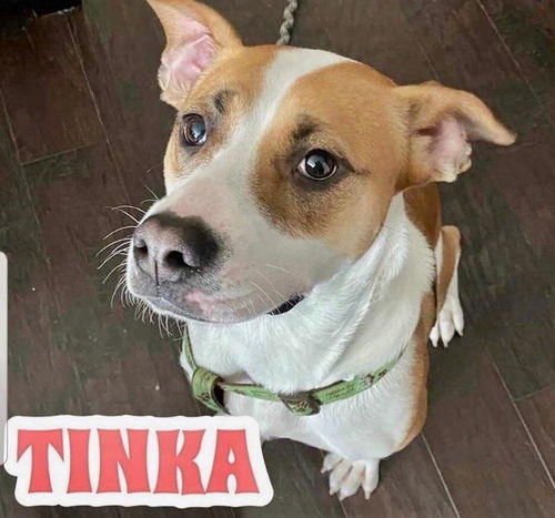Tinka