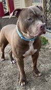 Ares