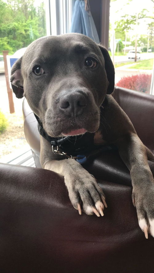 Finnegan