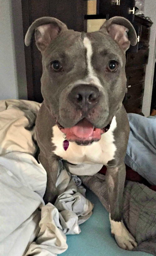 Kona