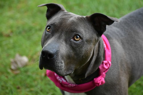 Amy