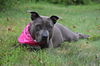 Amy