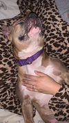 Roxy