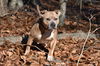 Roxy