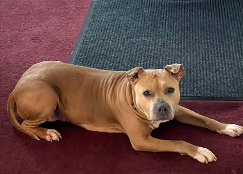 Roxy