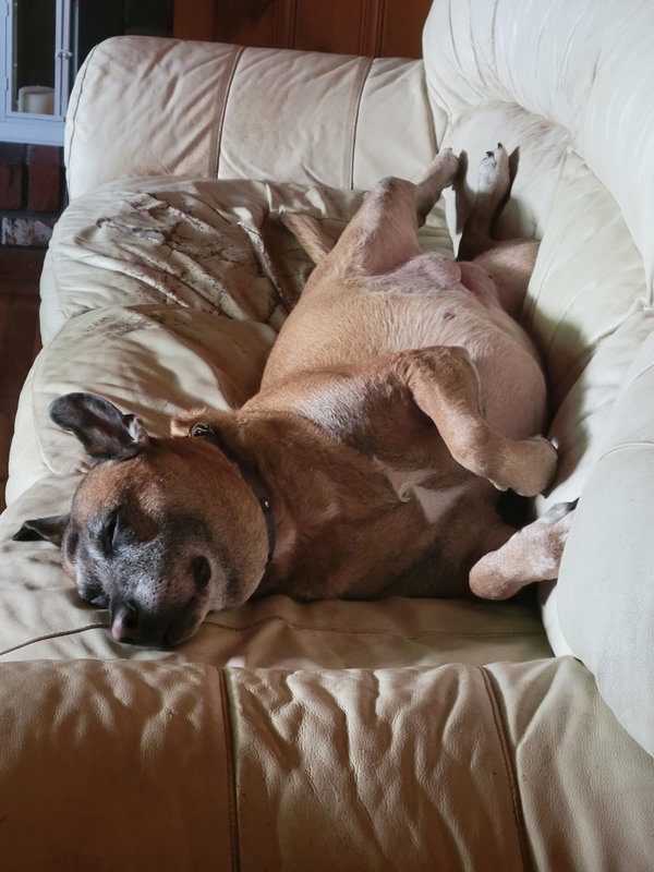 June aka Juno