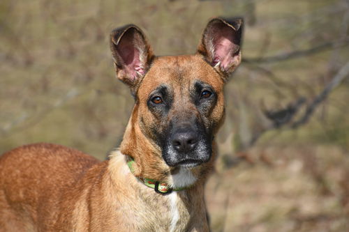 Juno