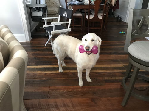 Addie
