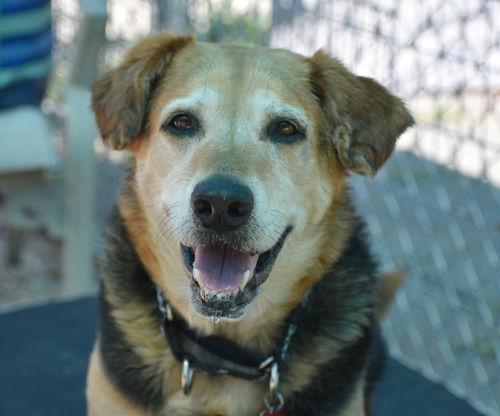 Roscoe