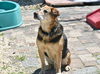 Roscoe
