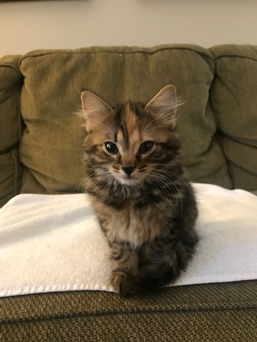 Ruby