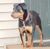 Ruby