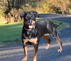 Ruby