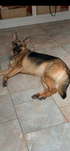 Sally