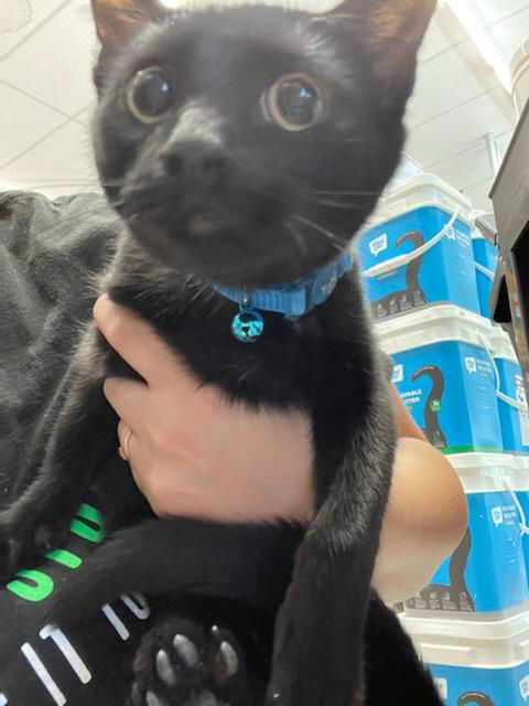 Binx