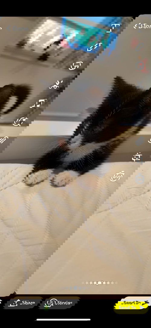 Axel