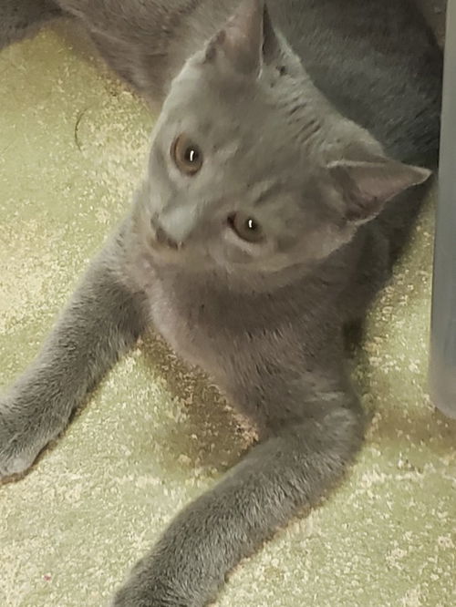 Tiny