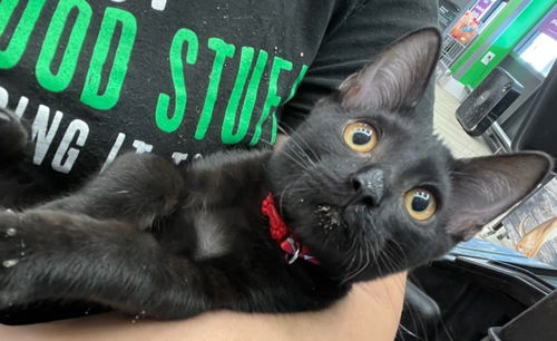 Salem
