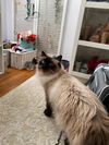 Fred