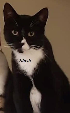 Slash