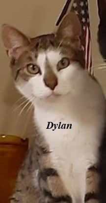 Dylan