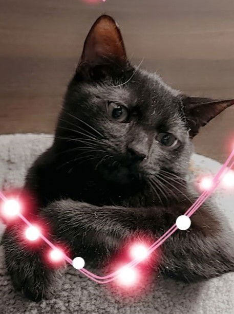 Binx