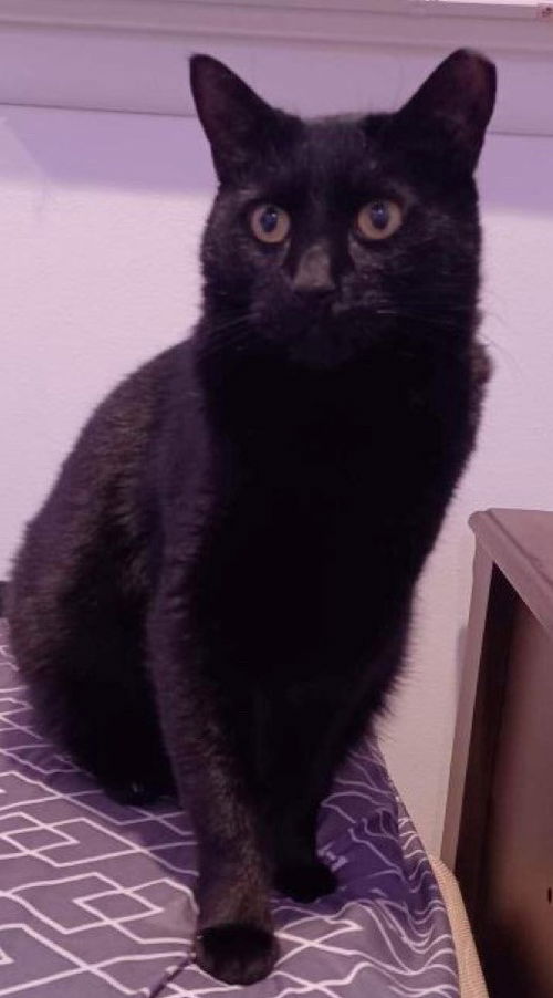 Binx