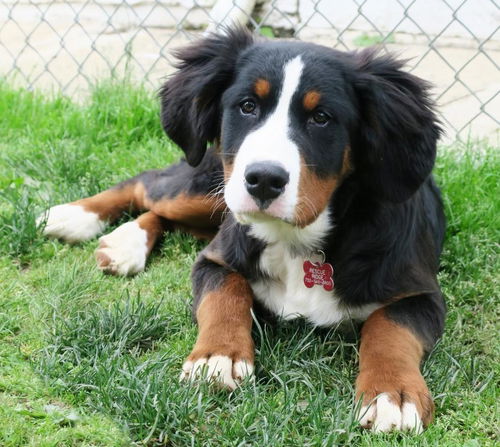 Fiona