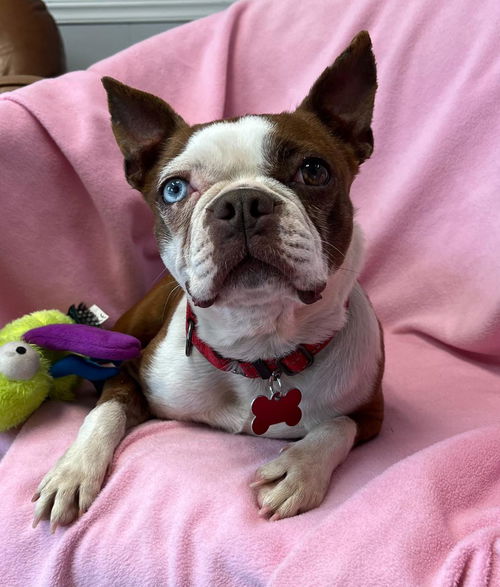 Rosie aka Rosalita