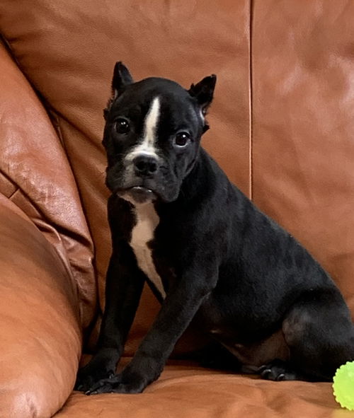 Roscoe