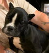Roscoe